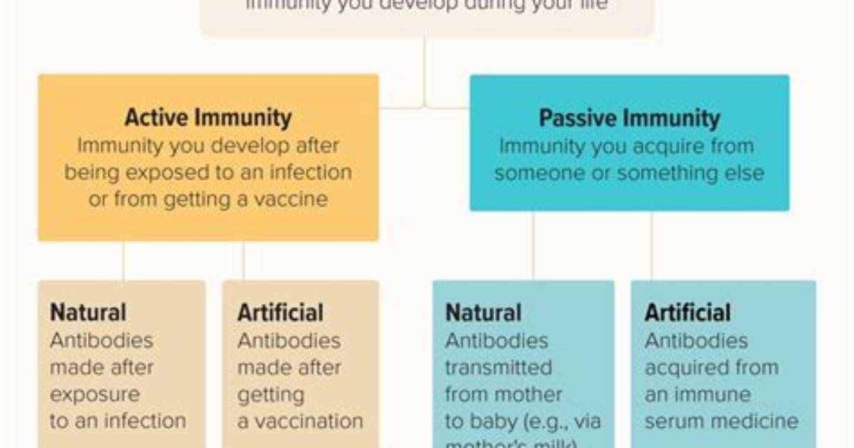 What Is Learned or Acquired Immunity