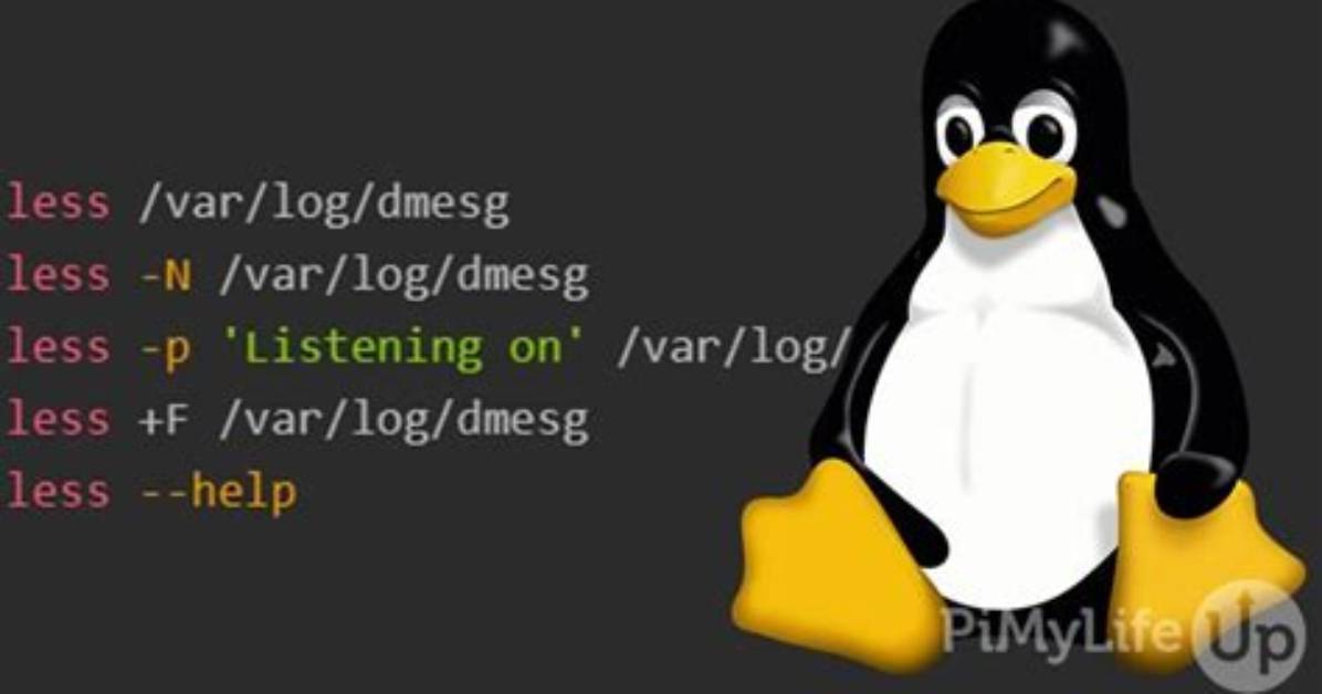 What Is Less and More Command in Linux?