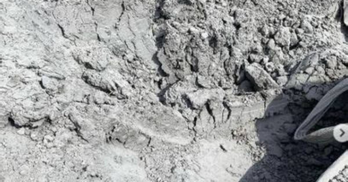 What Is Lime Ash