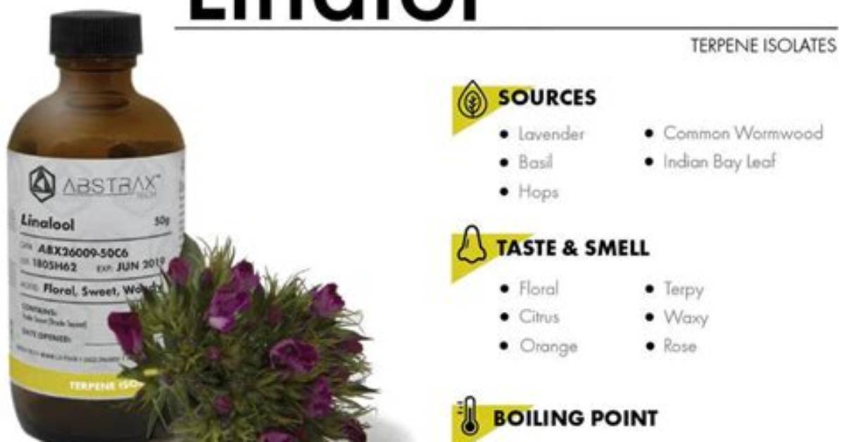 What Is Linalool Good For