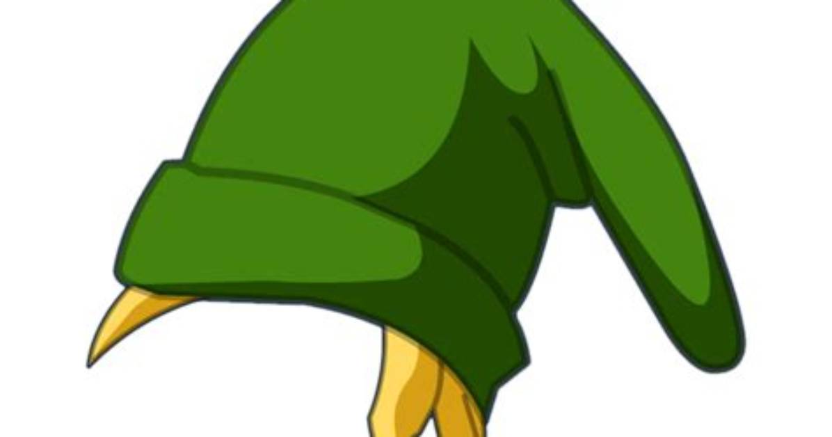 What Is Link's Hat Called?