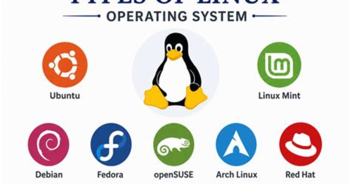 What Is Linux and Its Types?