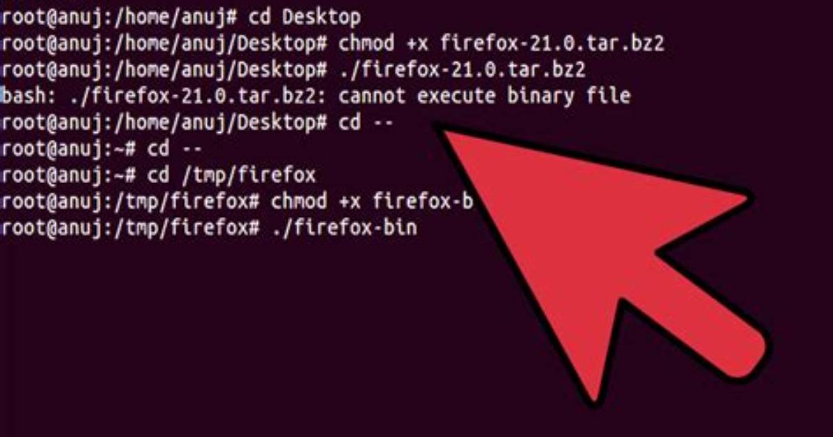 What Is Linux Bin User?
