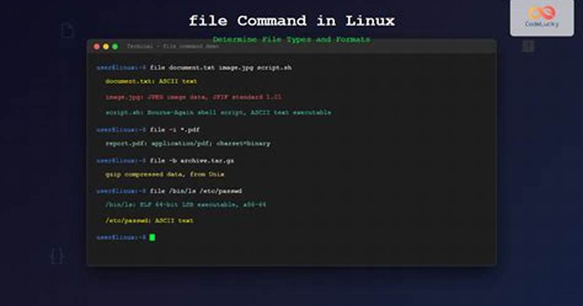 What Is Linux Coded in?
