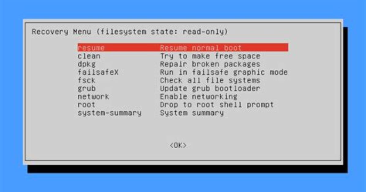 What Is Linux Mint Recovery Mode?