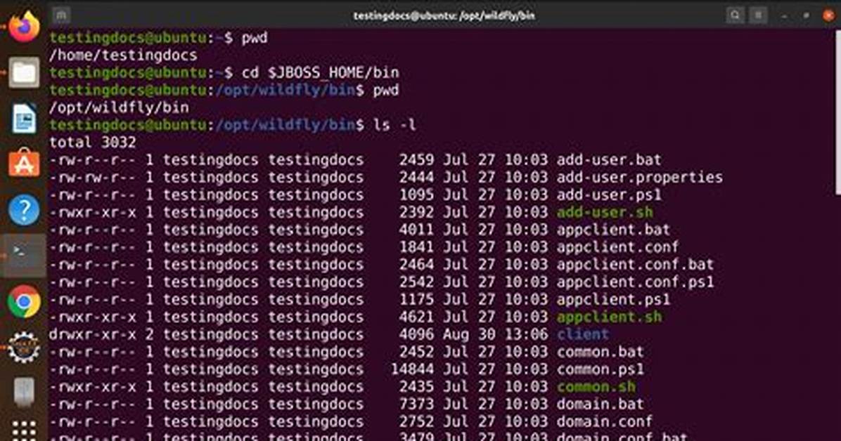 What Is Ll in Linux?