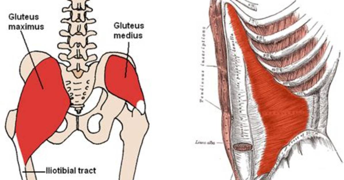 What Is Lumbo Pelvic Hip Complex?