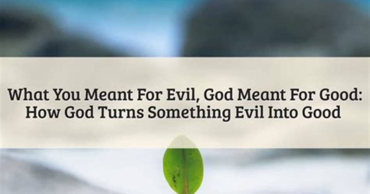 What Is Meant by Conterminously?