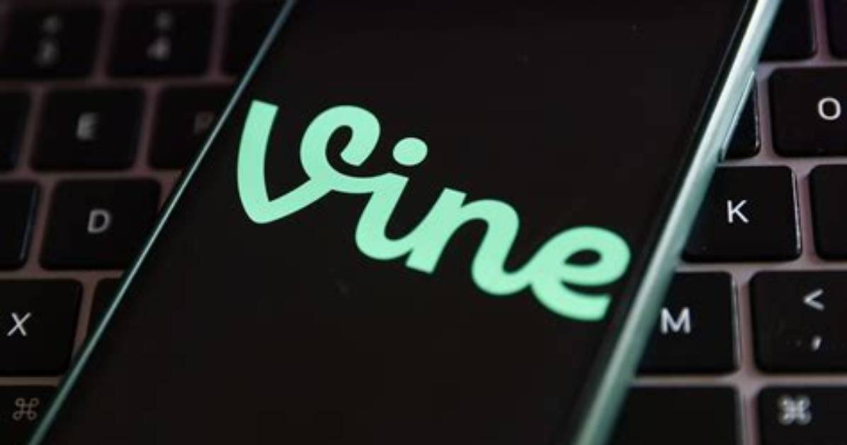 What Is Media Vine? | Contextresponse. Com