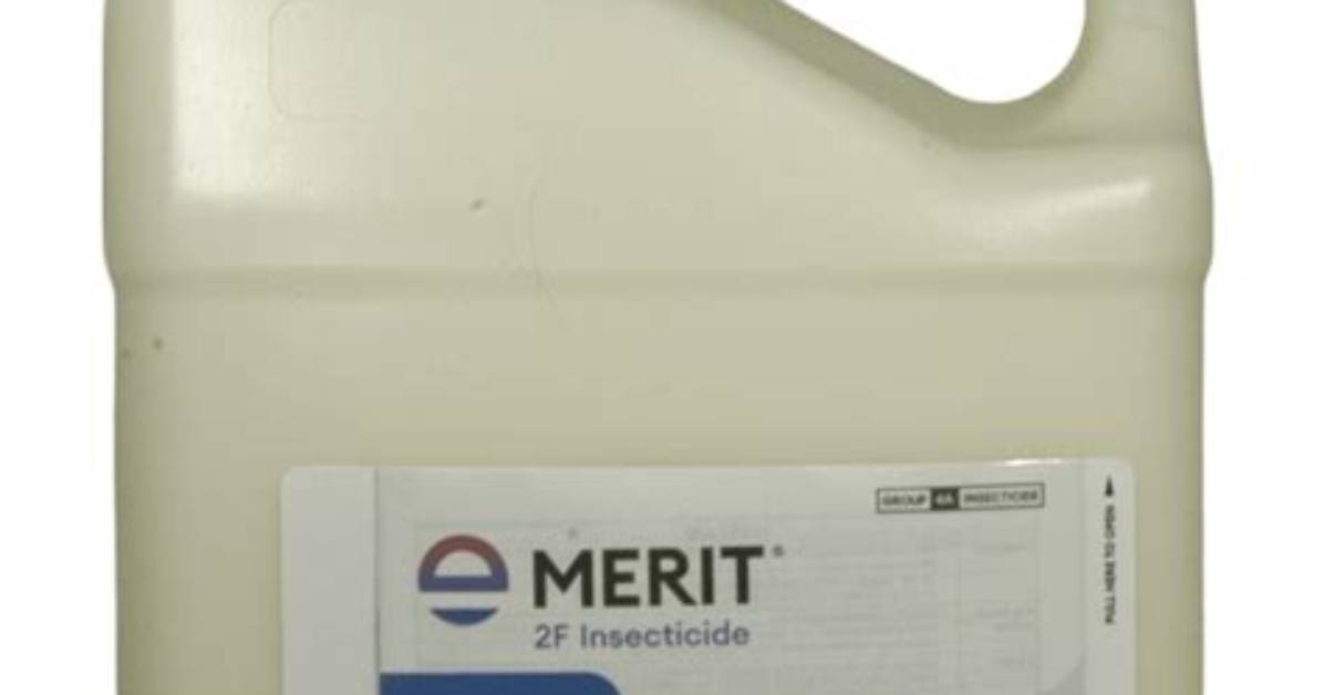 What Is Merit 2F