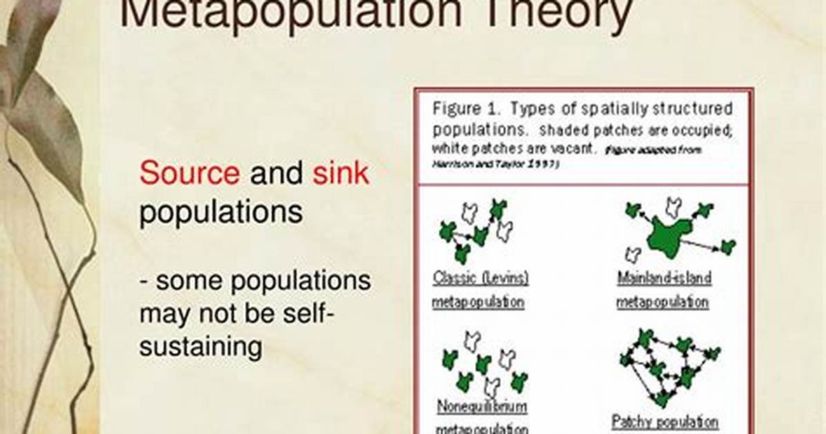 What Is Metapopulation Theory