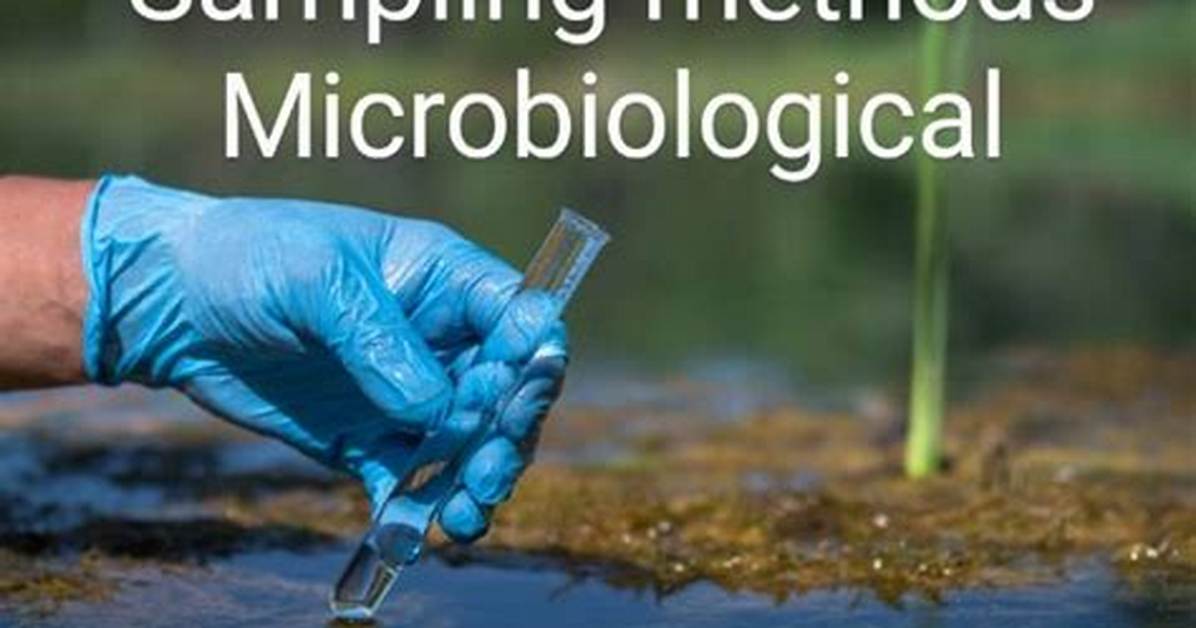 What Is Microbiological Sampling