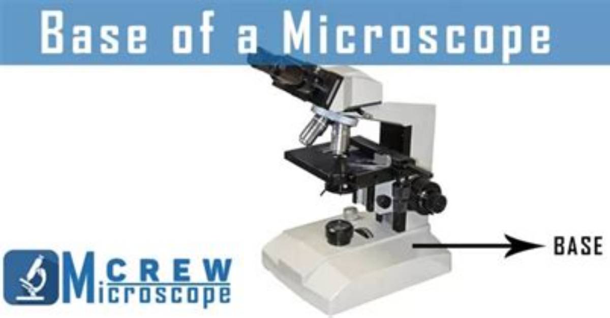 What Is Microscope Base
