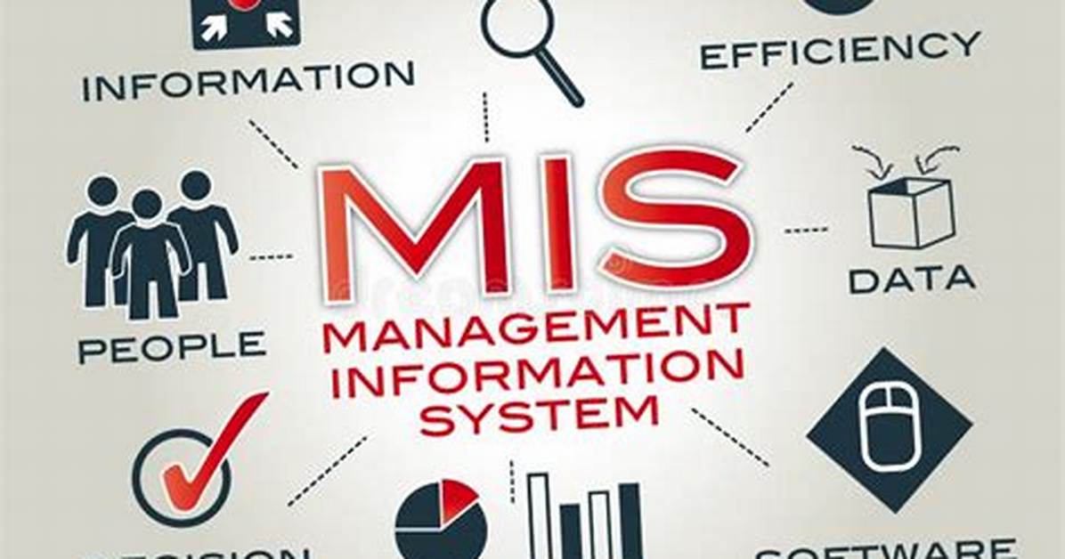 What Is Mis Management?