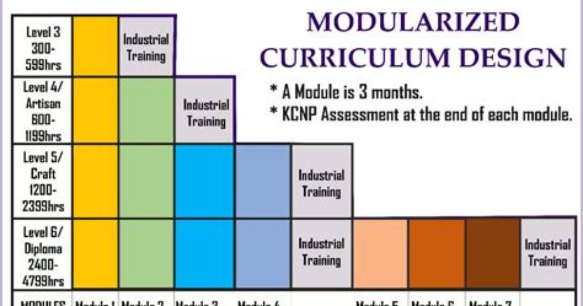 What Is Modularized Curriculum?