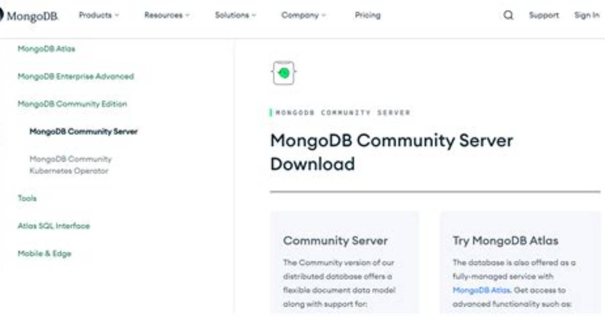 What Is Mongodb Server