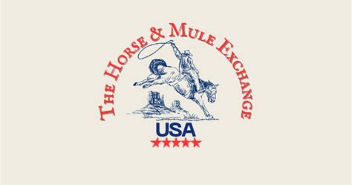 What Is Mule Exchange