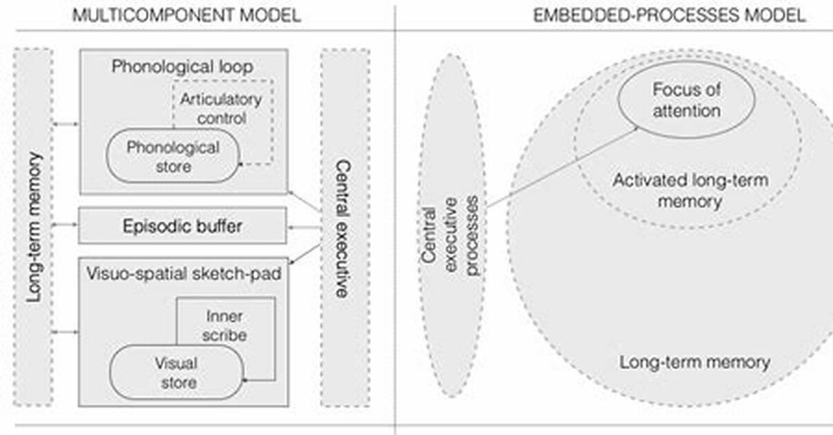 What Is Multicomponent Model?