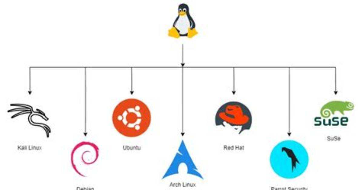 What Is My Linux Type?