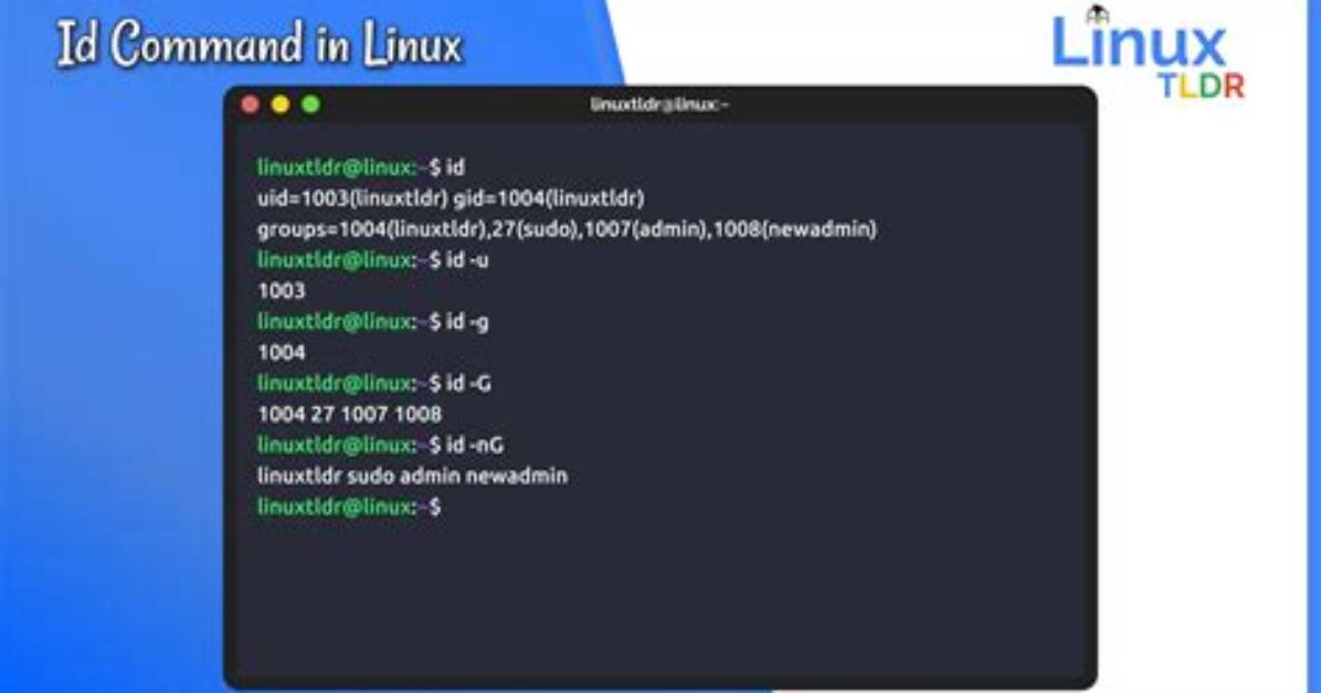 What Is My User Id Linux?