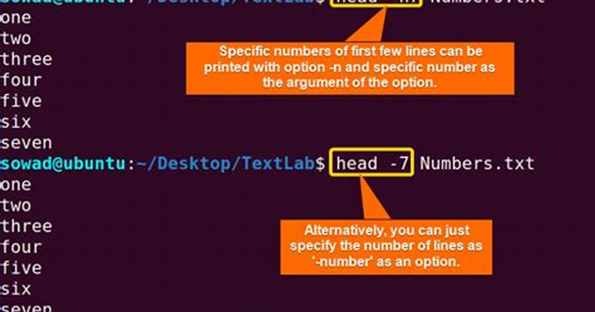 What Is N Command in Linux?