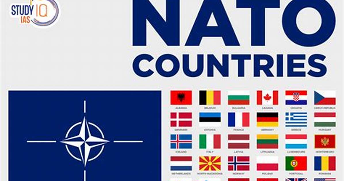 What Is Nato an Example Of