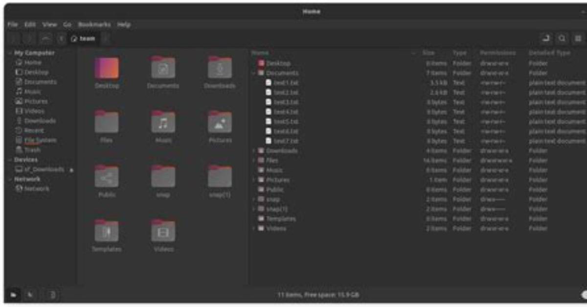 What Is Nemo in Linux?