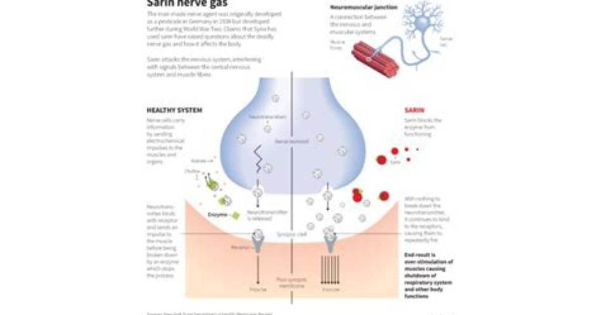 What Is Nerve Gas Attack
