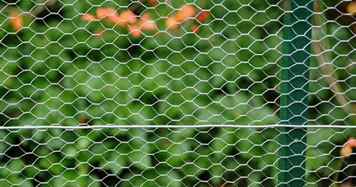 What Is Net Wire