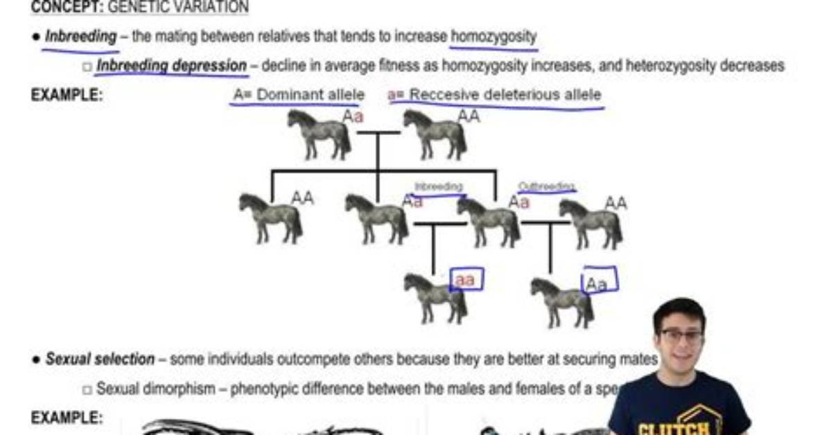 What Is Neutral Variation? | Contextresponse. Com