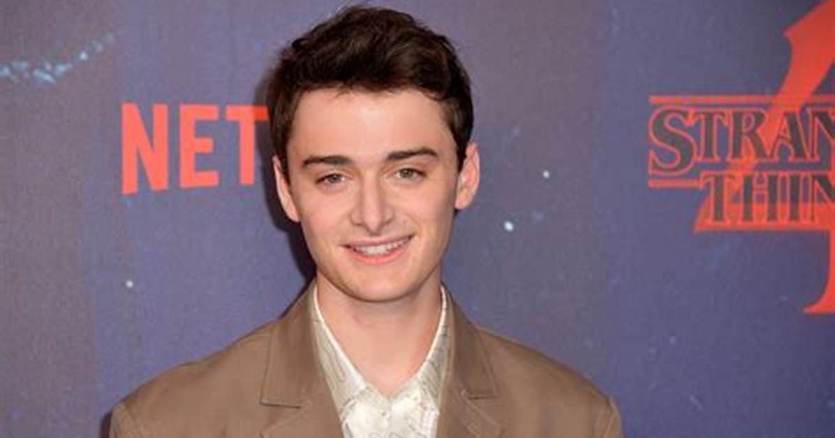 What Is Noah Schnapp in?
