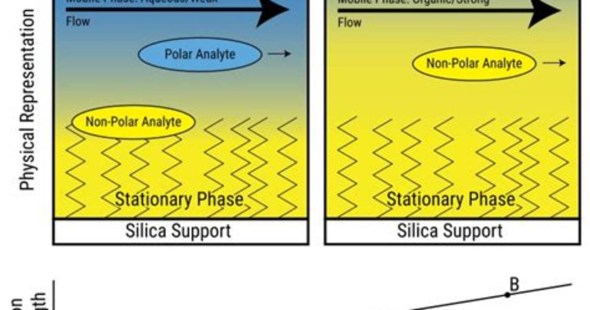 What Is Normal and Reverse Phase Chromatography