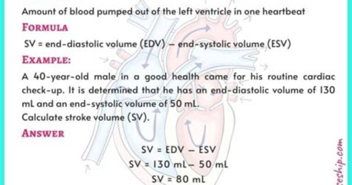 What Is Normal Sv