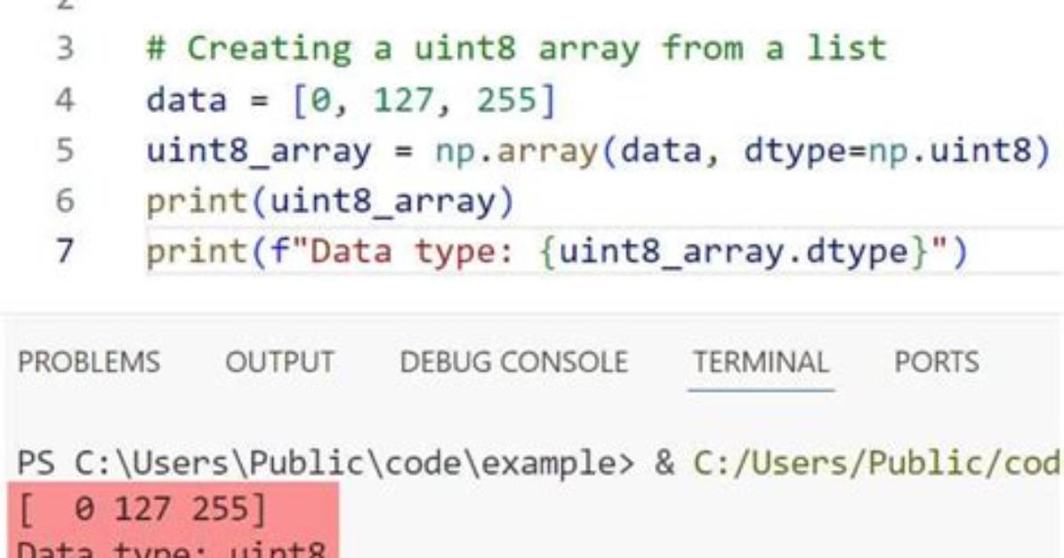 What Is Np. Uint8?