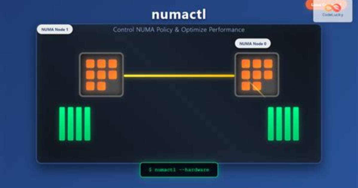 What Is Numactl Used for?