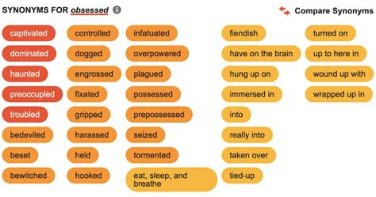 What Is Obsession Synonym?