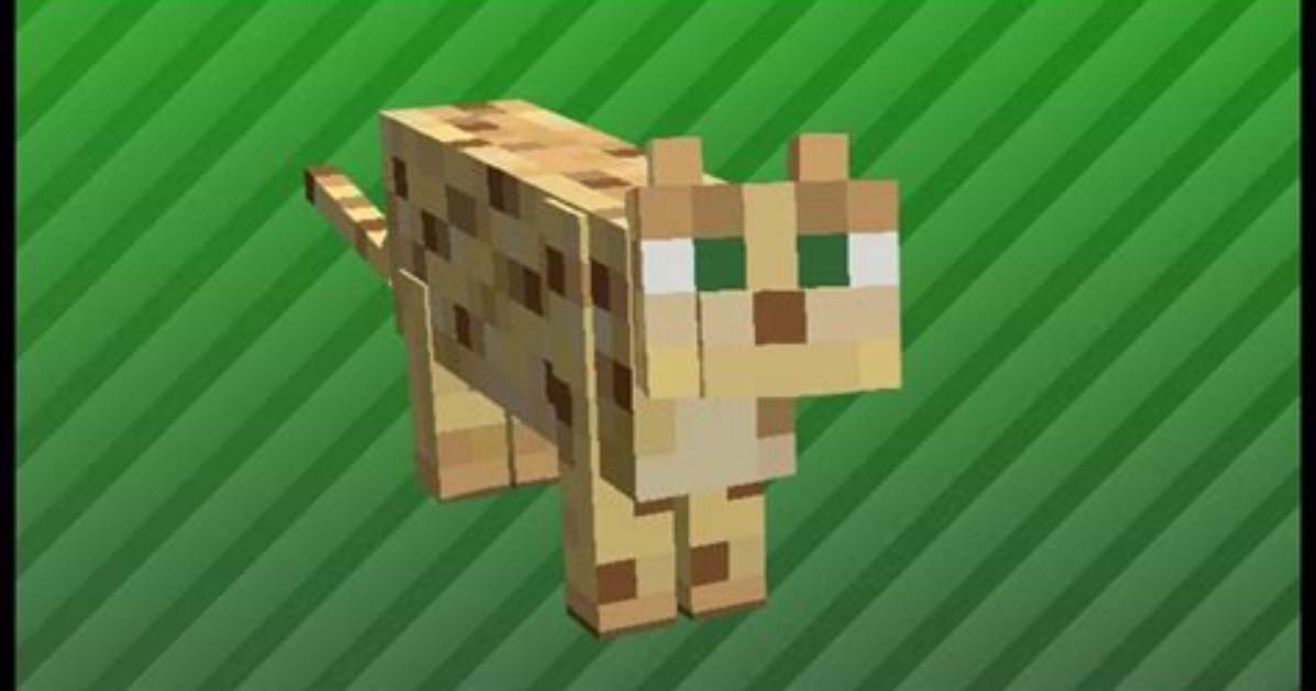 What Is Ocelot in Minecraft