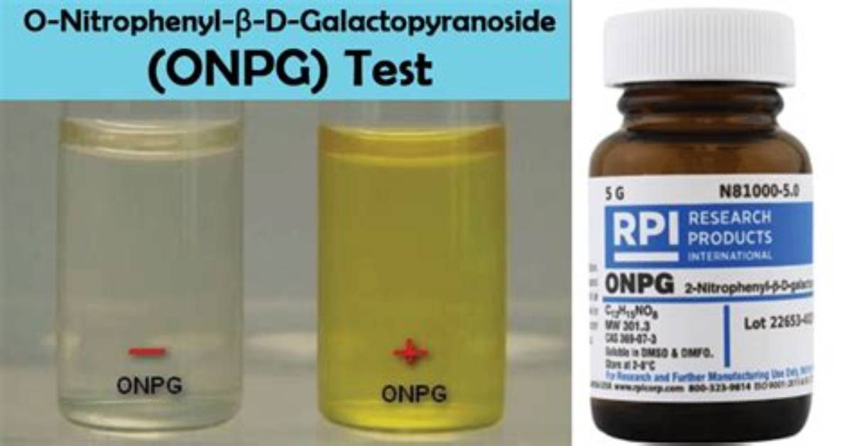 What Is Onpg Used For