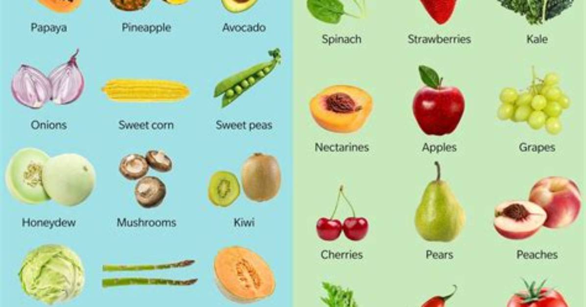 What Is Organic Food? Is Organic Really Organic?