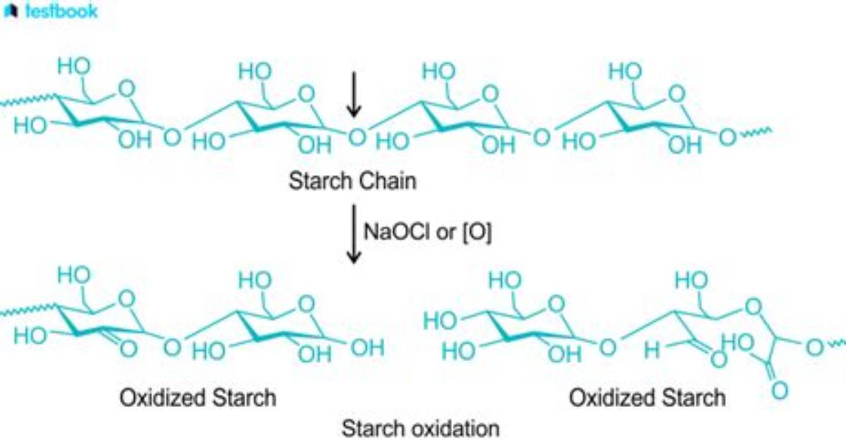 What Is Oxidised Starch