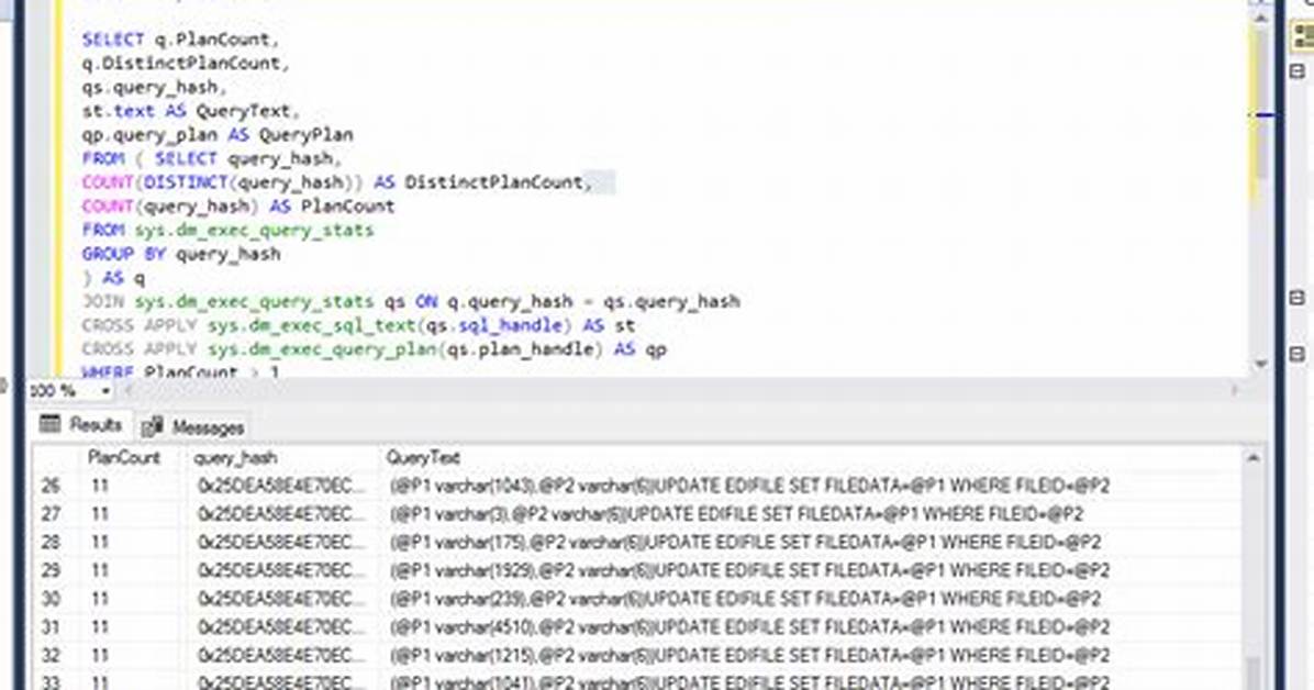 What Is Parameterized Query?