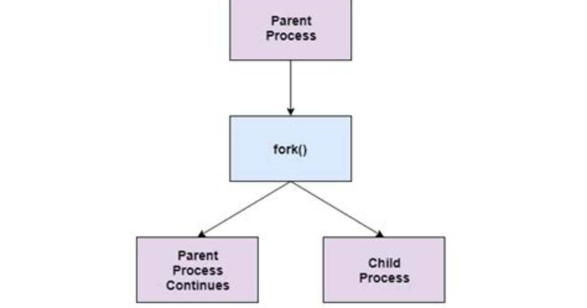 What Is Parent Process and Child Process in Linux?