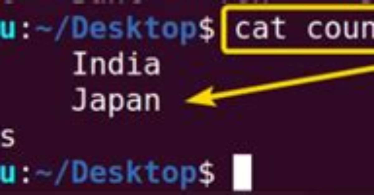 What Is Paste Command in Linux?