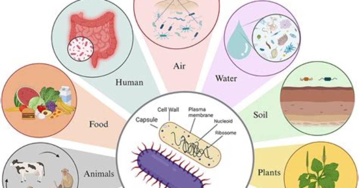 What Is Pathogenic Role?