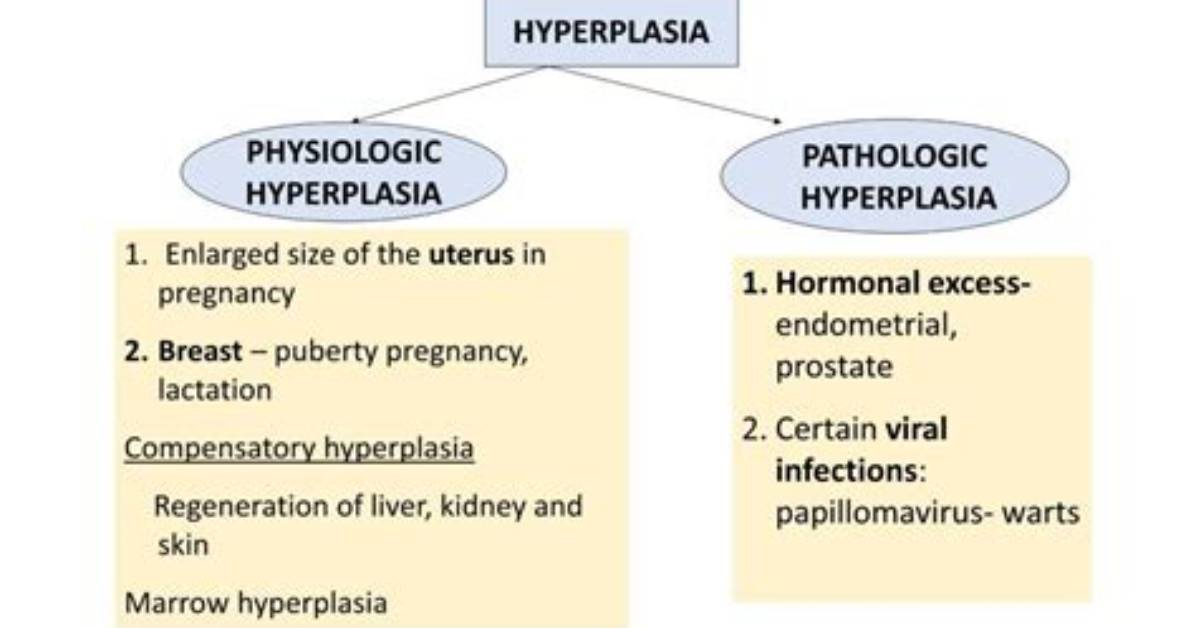What Is Pathological Hyperplasia?
