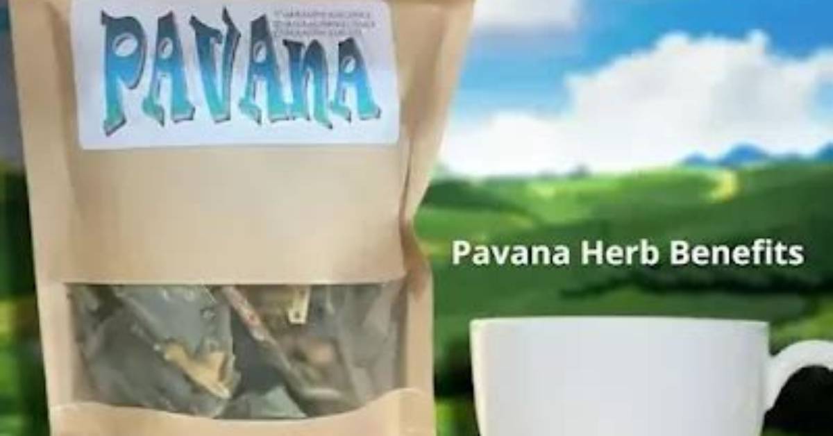 What Is Pavana Herb? | Contextresponse. Com