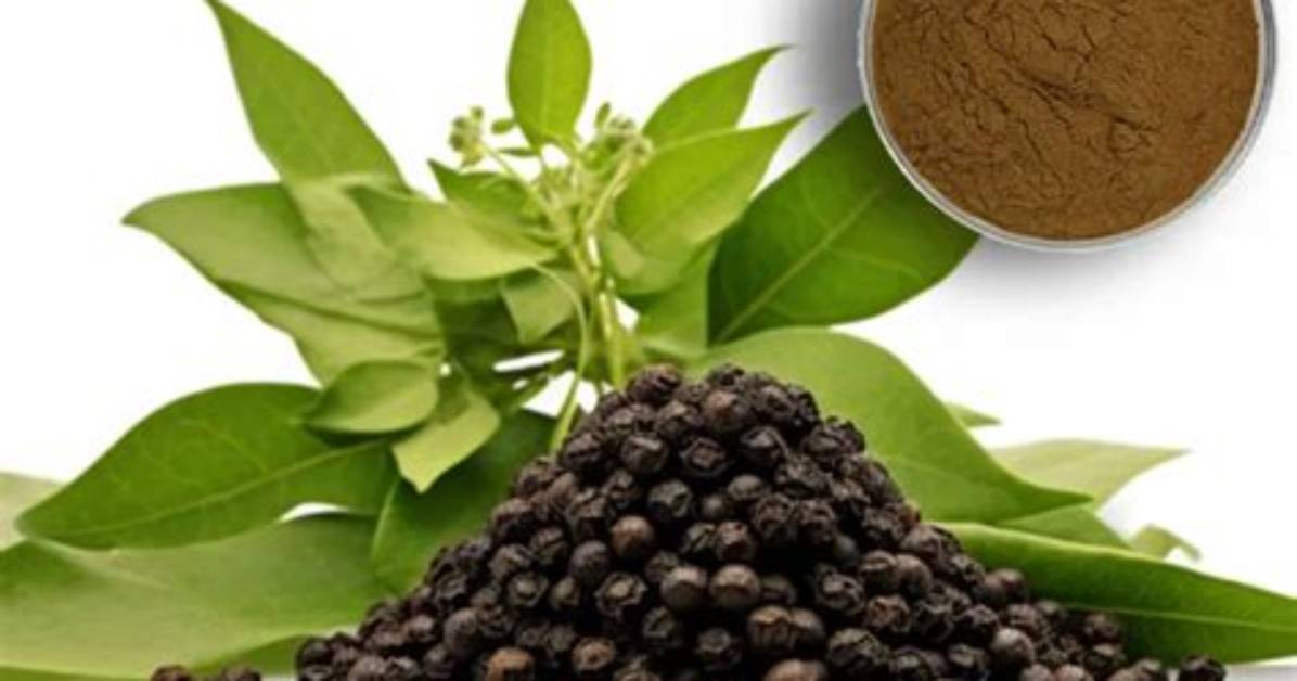 What Is Pepper Extract