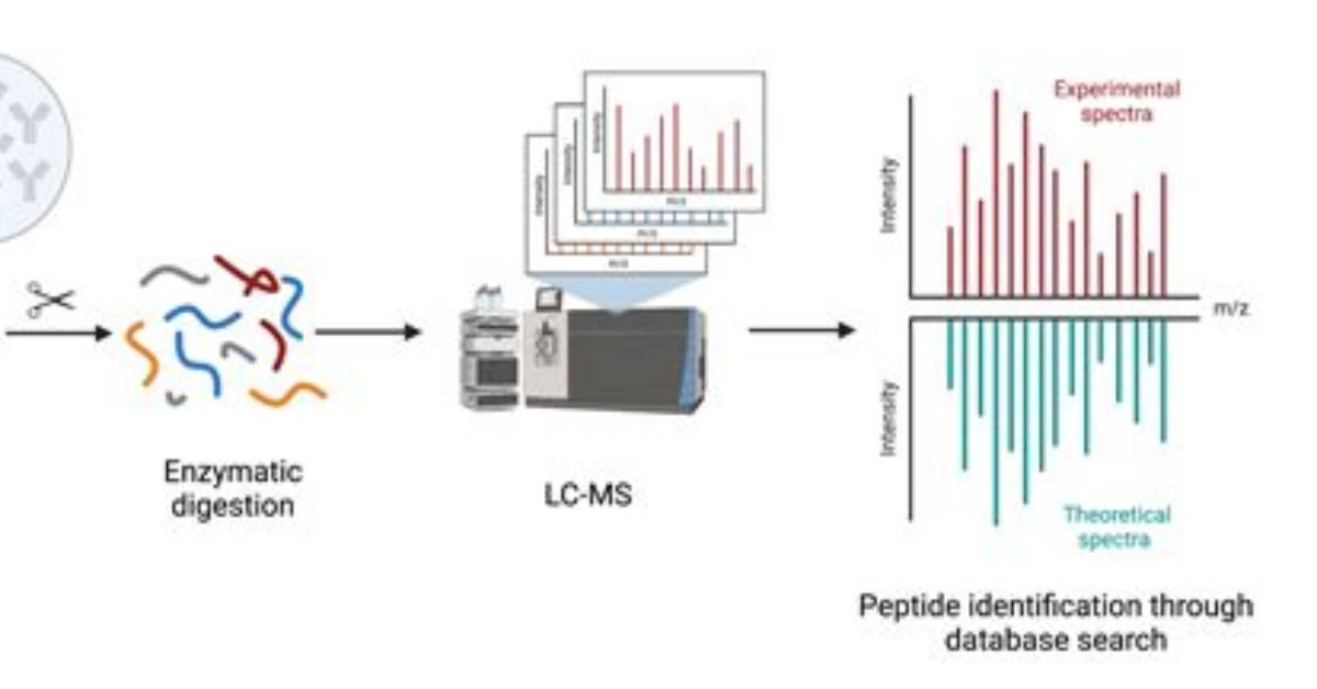 What Is Peptide Mapping