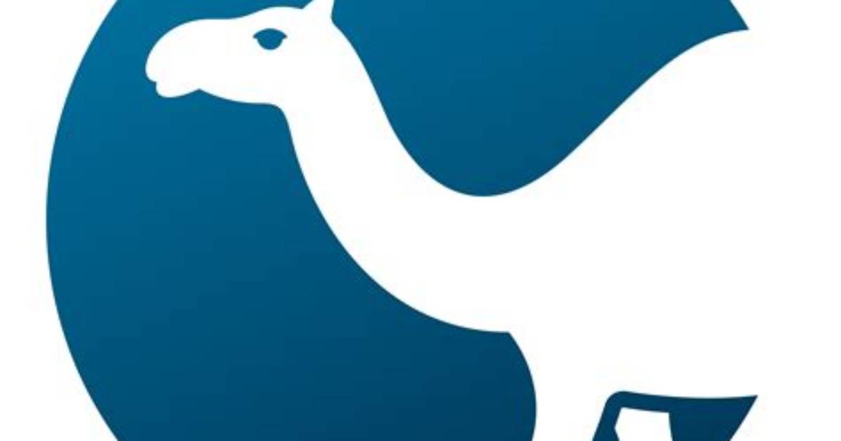 What Is Perl Option