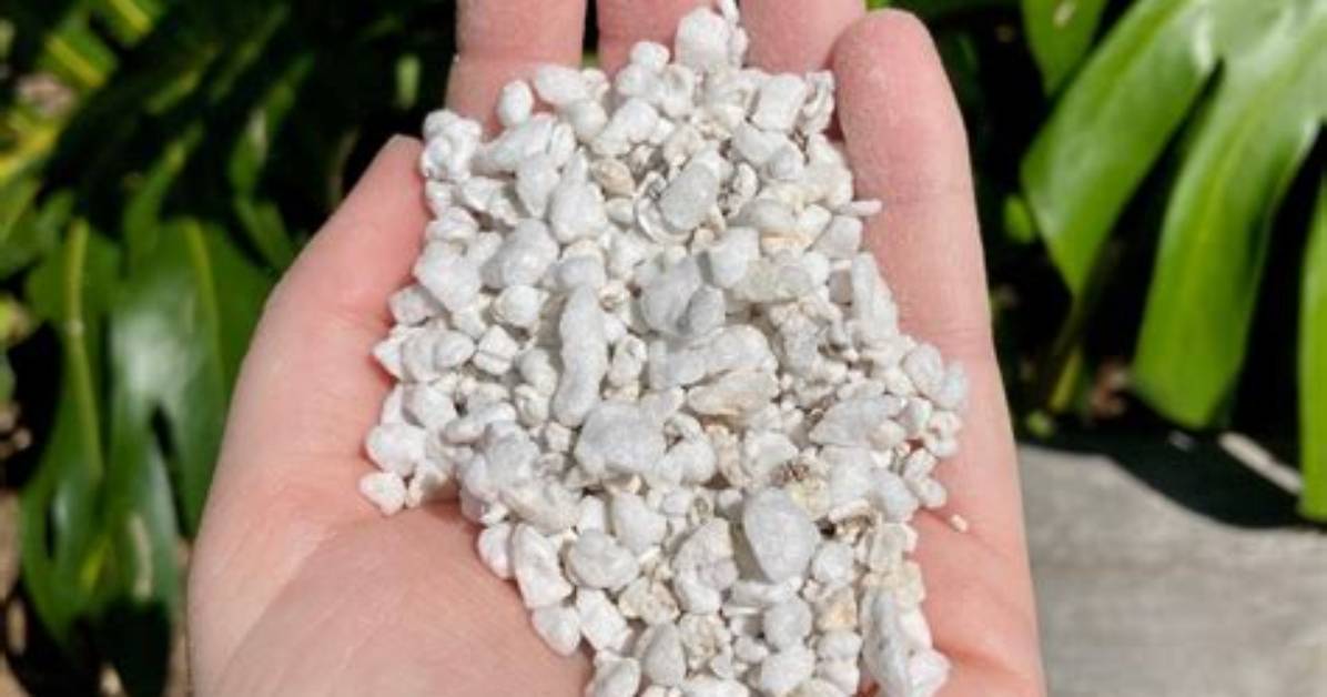 What Is Perlite Nz